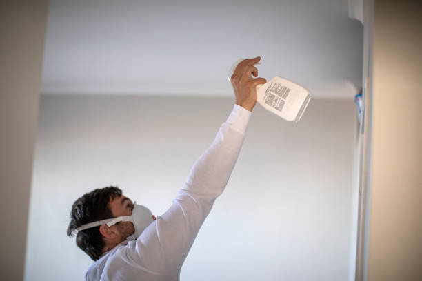 Best Residential Mold Remediation in Chama, NM