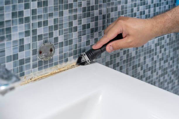 Best Localized Mold Remediation (e.g., coastal areas, humid climates) in Chama, NM